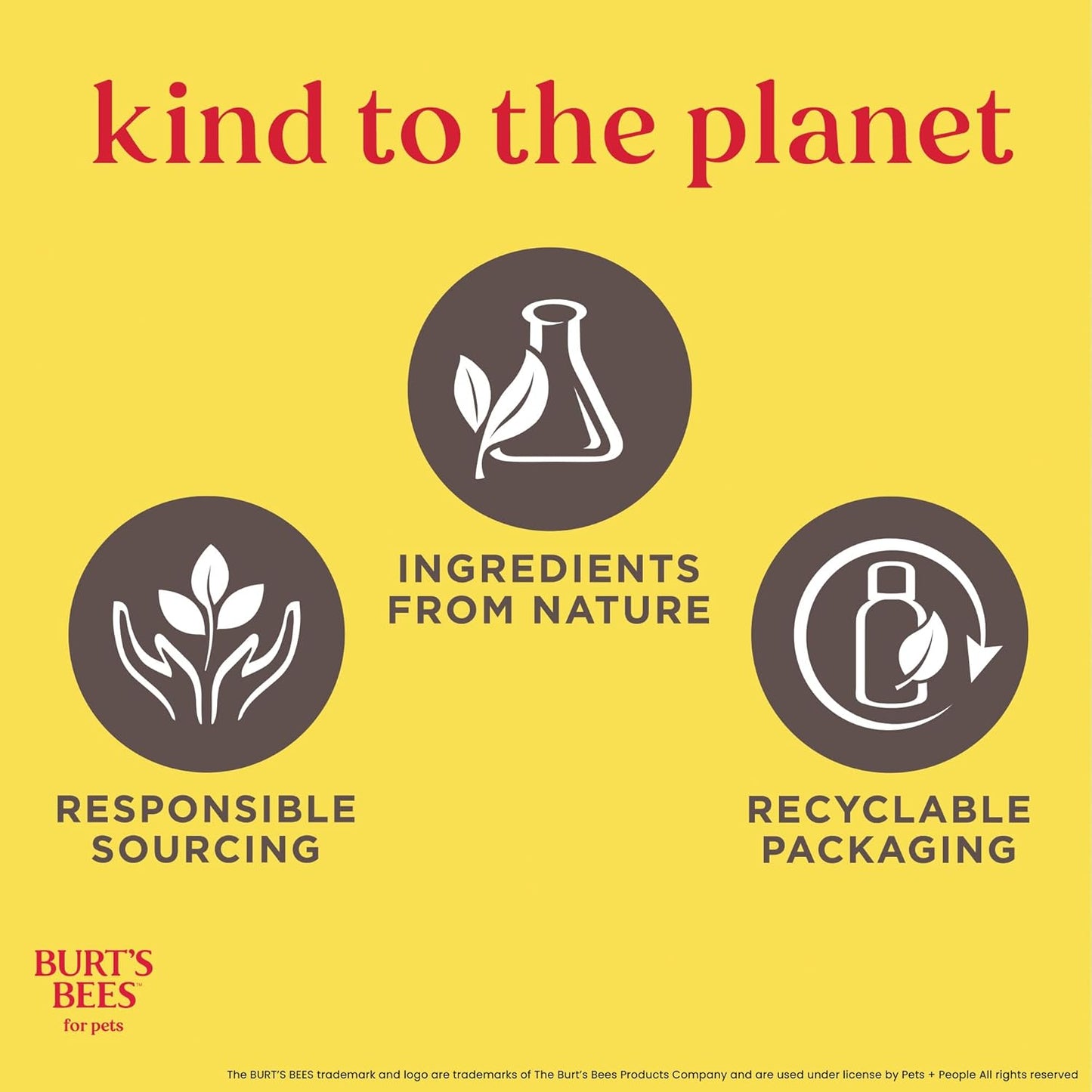 Waterless Shampoo Spray for Dogs with Apple and Honey, 99.1% Natural Origin Formulas, Waterless Dog Shampoo - Gentle Dry Shampoo for Dogs, Best Dog Shampoo, 10 Oz